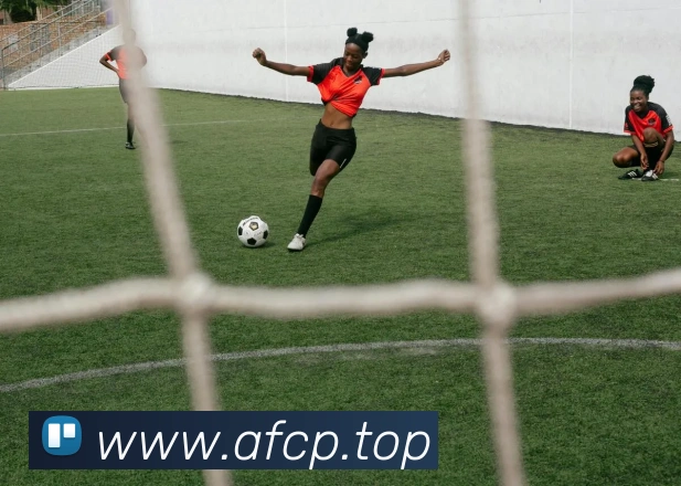 多彩内容专区